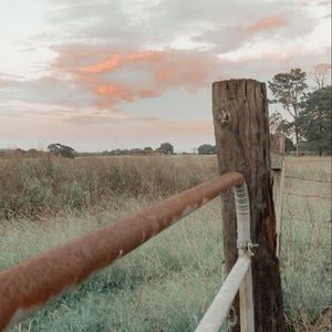 Meet your Posher, Kourtney